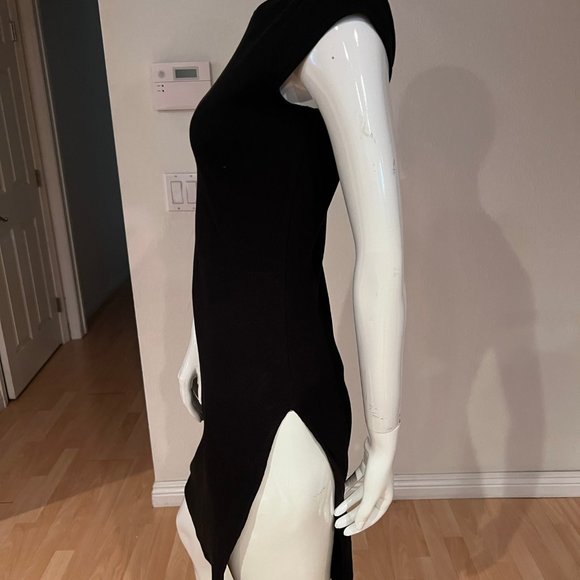 $60 LIONESS DONT BLAME ME MIDI DRESS POLLY PRINCESS SIZE M 6 US - Picture 3 of 5